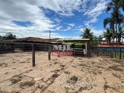 Fazenda/Sítio à venda, 500m² no Vila Santa Terezinha, Inhumas
