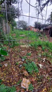 Lote/Terreno à venda, 428m² no Liberdade, Esteio