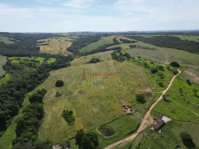 Fazenda/Sítio com 3 Quartos à venda, 4977200m² no Setor Central, Silvânia