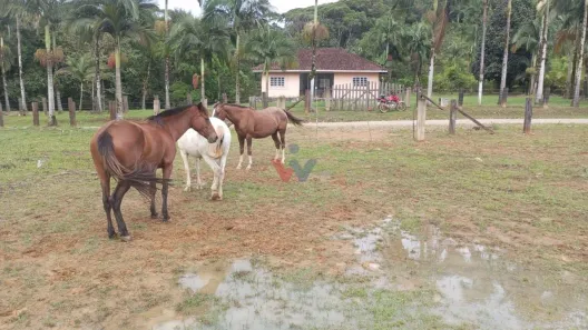 Fazenda/Sítio com 1 Quarto à venda, 332m² no Guaraqueçaba, Guaraqueçaba