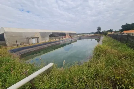 para alugar, 2000m² no , Artur Nogueira