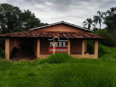 Fazenda/Sítio à venda, 330000m² no , Silvânia