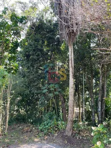 Lote/Terreno à venda, 250m² no Trancoso, Porto Seguro