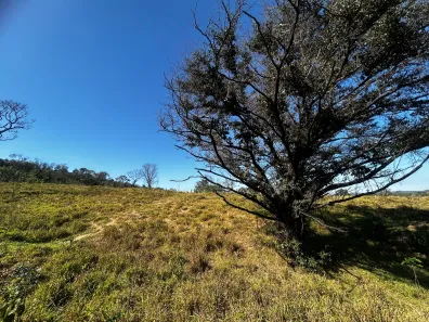 Lote/Terreno à venda, 20000m² no Zona Rural, Cachoeira da Prata