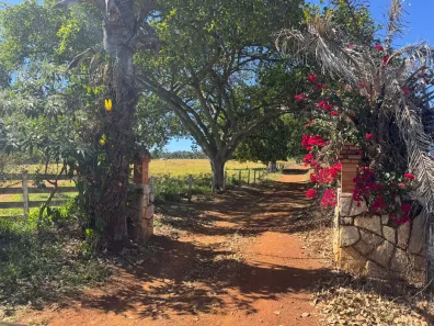 Fazenda/Sítio com 3 Quartos à venda, 532400m² no , Goianápolis