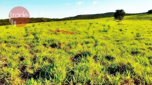Fazenda/Sítio com 2 Quartos à venda, 15800000m² no Setor Central, Pedro Afonso