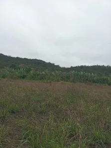 Fazenda/Sítio à venda, 677600m² no , Guaraqueçaba