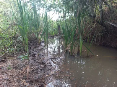 Lote/Terreno à venda, 20000m² no Zona Rural, Paraopeba