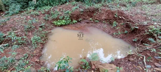 Lote/Terreno à venda, 20000m² no Linha Olinda, Nova Petrópolis