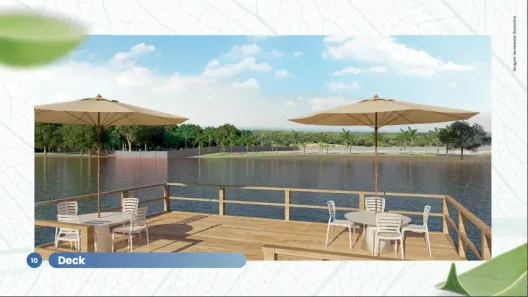 Fazenda/Sítio à venda, 400m² no Leopoldo de Bulhões, Leopoldo de Bulhões