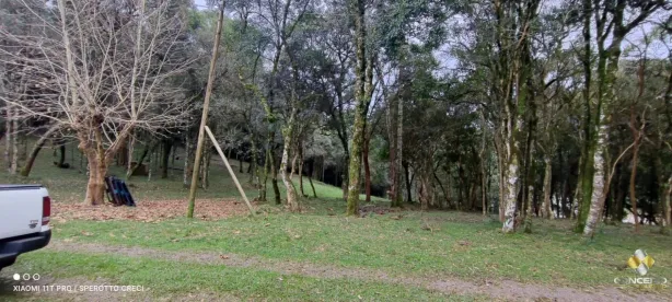 Fazenda/Sítio com 2 Quartos à venda, 90m² no Área Rural de Farroupilha, Farroupilha