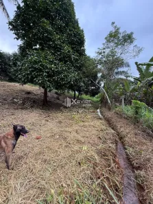 Lote/Terreno à venda, 2000m² no Comunidade Urbana de Jaboti, Guarapari