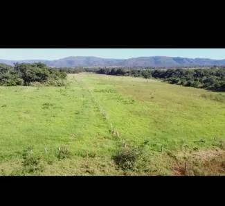 Fazenda/Sítio à venda no , Buritis