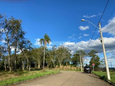 Lote/Terreno à venda, 562m² no , Nova Petrópolis