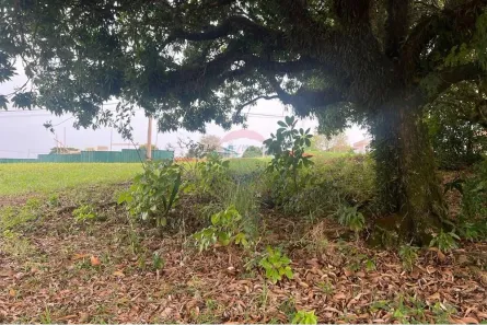 Lote/Terreno à venda, 450m² no , Pardinho
