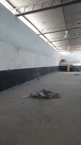 Galpão/Depósito/Armazém com 2 Quartos para alugar, 450m² no Lagoa Nova, Natal