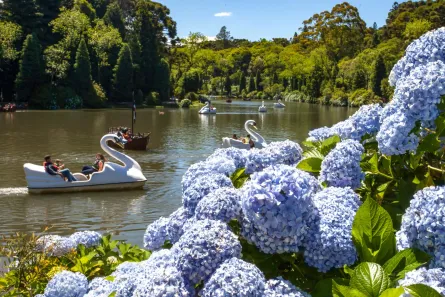 Lote/Terreno à venda, 3775m² no Planalto, Gramado