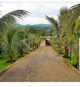 Fazenda/Sítio com 7 Quartos para alugar, 5000m² no Vale Verde, Cabreúva