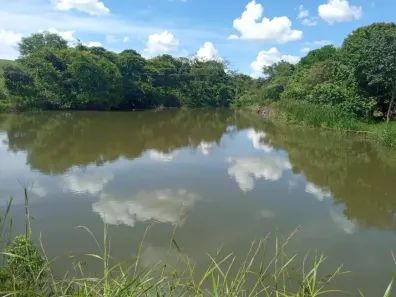 Fazenda/Sítio com 2 Quartos à venda, 55000m² no , Nerópolis