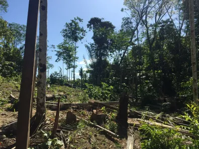 Lote/Terreno à venda, 400m² no Tarumã, Manaus
