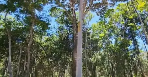 Lote/Terreno à venda, 2000m² no Açu da Torre, Mata de São João