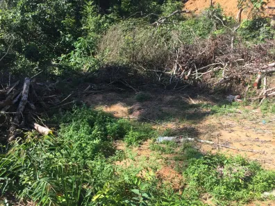 Lote/Terreno à venda, 400m² no Tarumã, Manaus