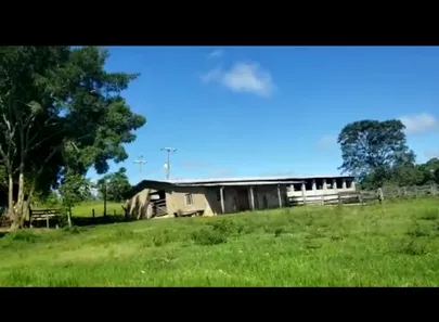 Fazenda/Sítio à venda no Centro, Padre Bernardo