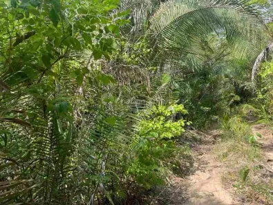 Lote/Terreno à venda, 10m² no , Demerval Lobão