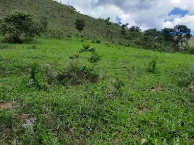Fazenda/Sítio com 2 Quartos à venda, 150000m² no Área Rural de Brazlândia, Brasília