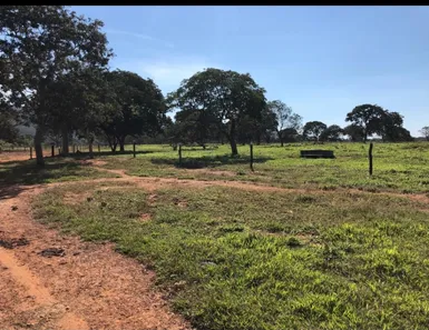 Fazenda/Sítio à venda no , Buritis