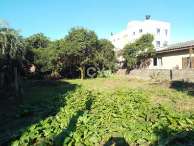 Lote/Terreno à venda, 300m² no Vila Cachoeirinha, Cachoeirinha
