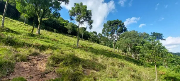 Lote/Terreno à venda, 13m² no Linha Imperial, Nova Petrópolis