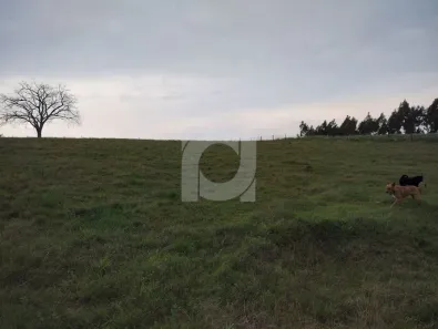 Lote/Terreno à venda, 60000m² no São Jorge, Portão