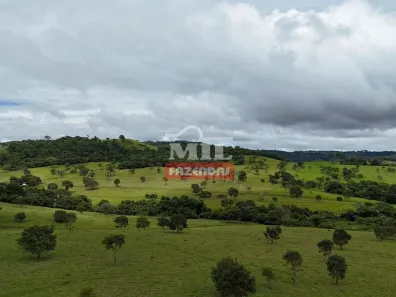 Fazenda/Sítio à venda, 20000m² no Vila Mutirão, Inhumas