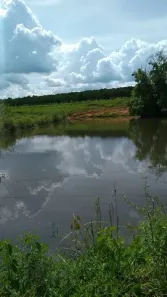 Fazenda/Sítio com 2 Quartos à venda, 55000m² no , Nerópolis