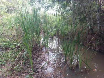 Lote/Terreno à venda, 20000m² no Zona Rural, Paraopeba