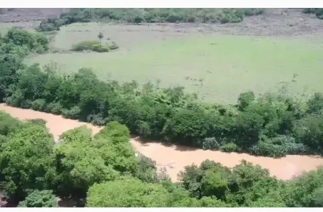 Fazenda/Sítio à venda no , Buritis