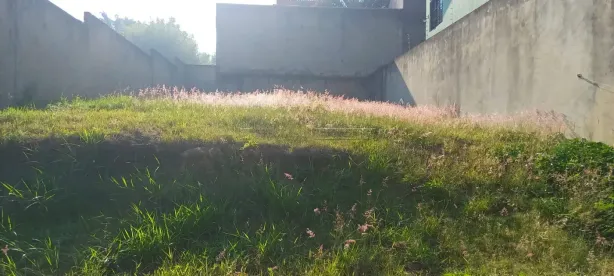 Lote/Terreno para alugar, 245m² no Jardim Prestes de Barros, Sorocaba