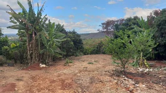 Lote/Terreno à venda, 4681m² no Palmital, Lagoa Santa