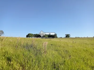 Fazenda/Sítio com 2 Quartos à venda, 80m² no Centro, Avaí