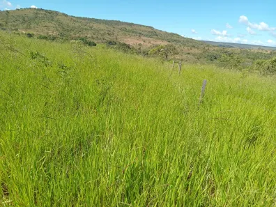 Fazenda/Sítio à venda, 4300000m² no Serra Bonita, Buritis
