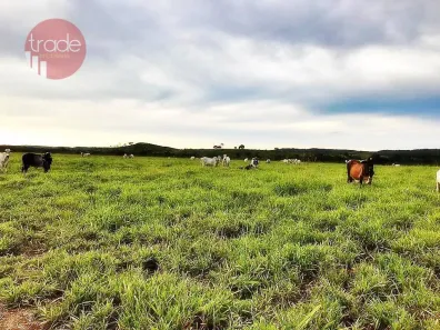 Fazenda/Sítio com 2 Quartos à venda, 15800000m² no Setor Central, Pedro Afonso