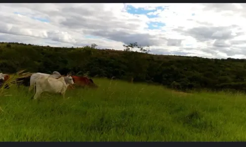Fazenda/Sítio à venda, 385000m² no Palmital de Minas, Cabeceira Grande