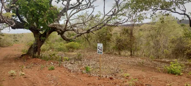 Lote/Terreno à venda, 20000m² no , Paraopeba