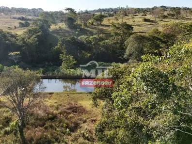 Fazenda/Sítio à venda, 500m² no Vila Santa Terezinha, Inhumas