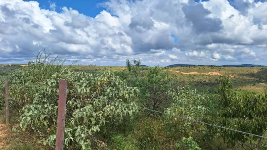 Lote/Terreno à venda, 24000m² no , Cordisburgo