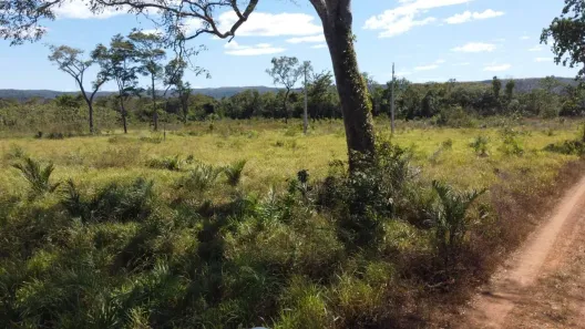 Fazenda/Sítio à venda, 1001m² no Centro, Porto Nacional