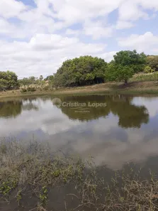 Fazenda/Sítio com 3 Quartos à venda, 10m² no , José de Freitas