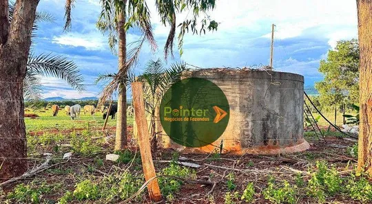 Fazenda/Sítio à venda, 290400m² no , Itaberaí