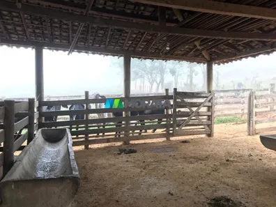 Fazenda/Sítio com 1 Quarto à venda, 48m² no , Brumadinho